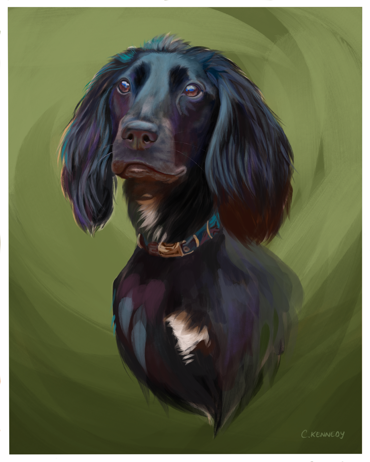 Custom Pet Portraits