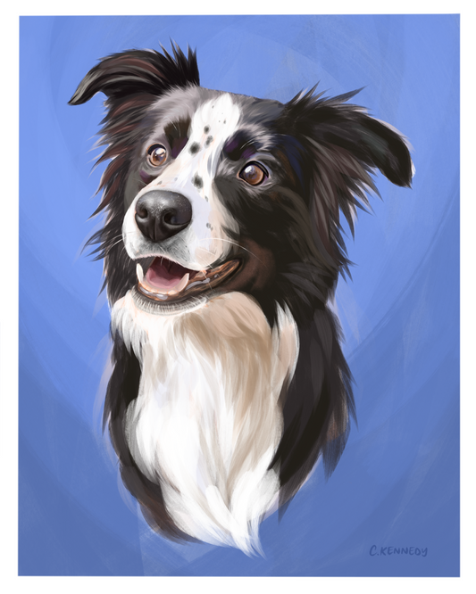 Border Collie Print