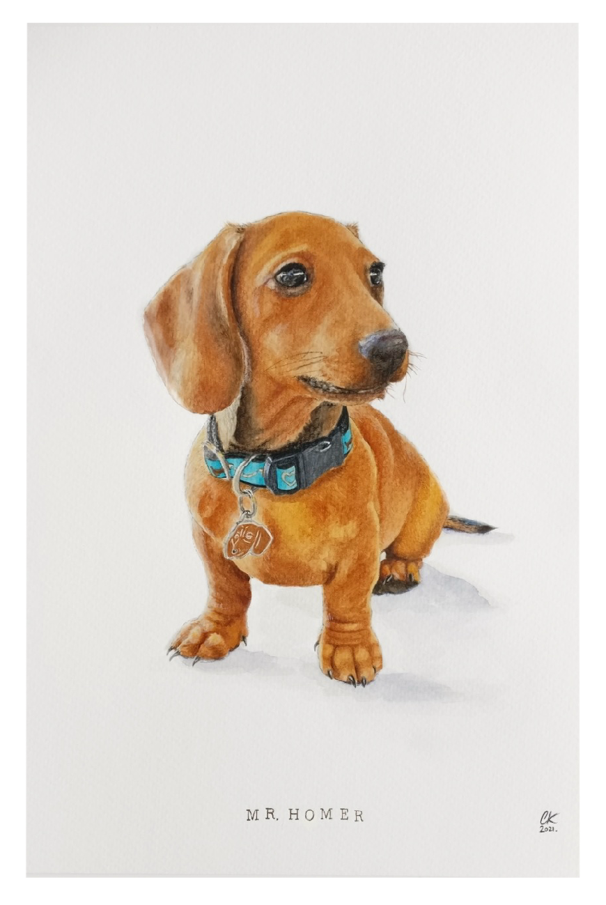 Custom Pet Portraits