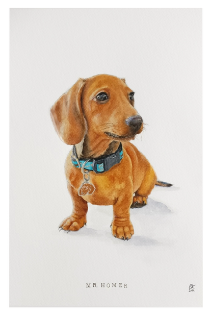 Custom Pet Portraits