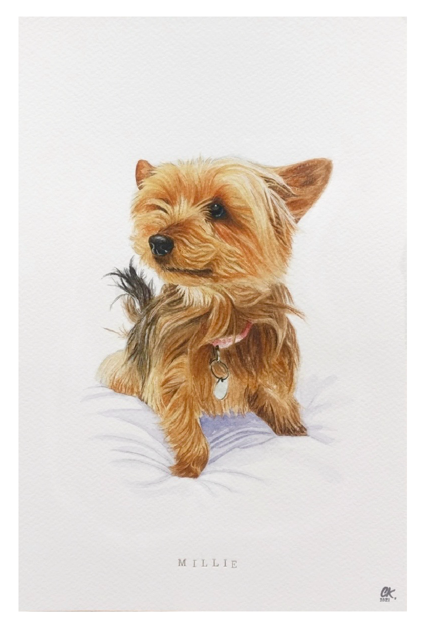 Custom Pet Portraits