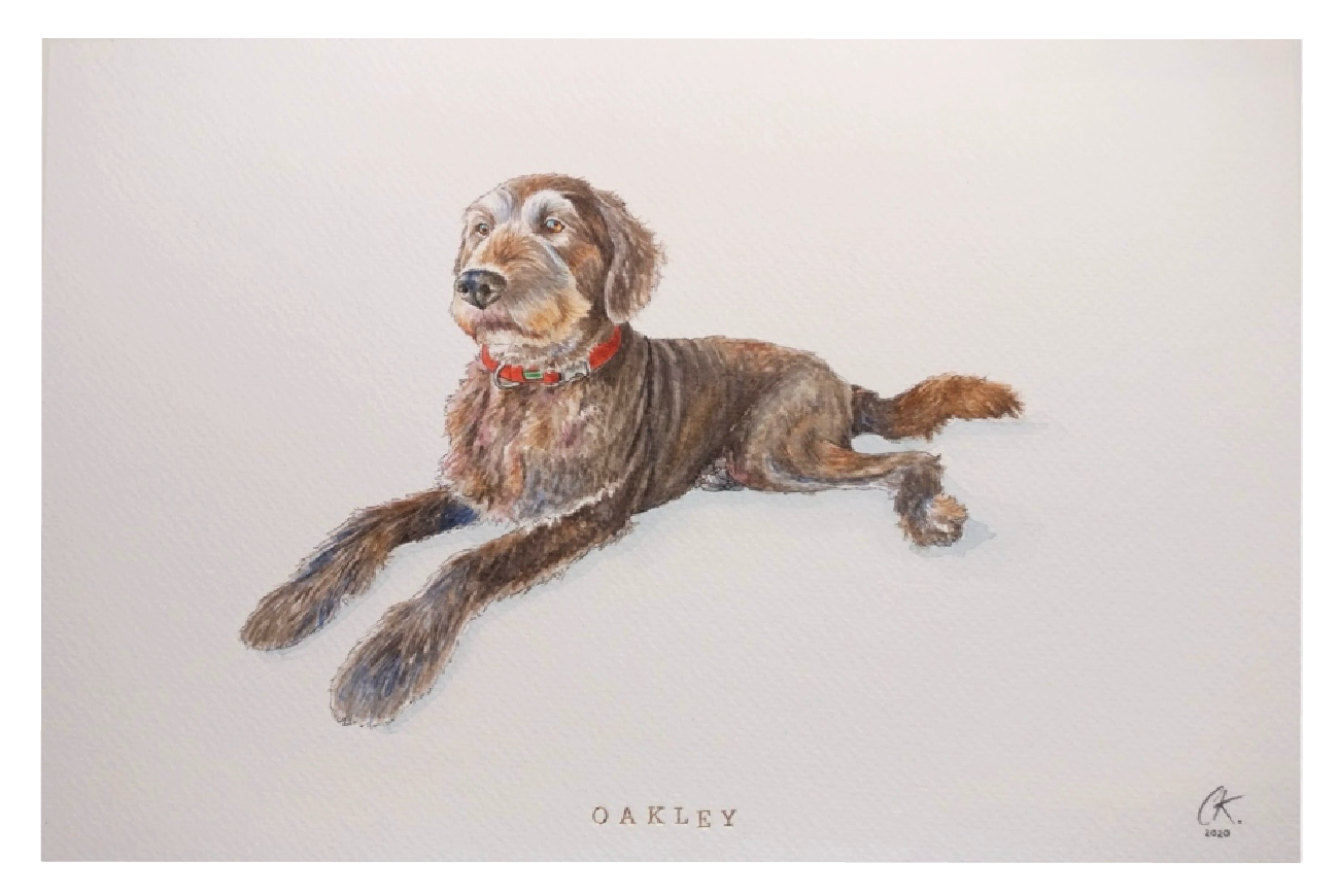 Custom Pet Portraits