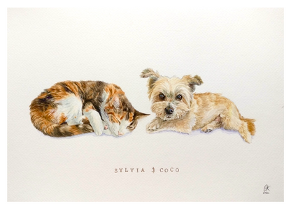 Custom Pet Portraits