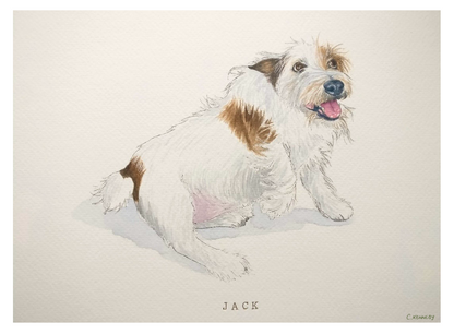 Custom Pet Portraits