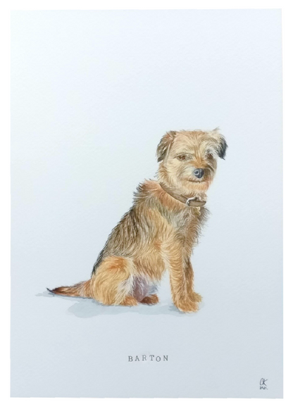 Custom Pet Portraits