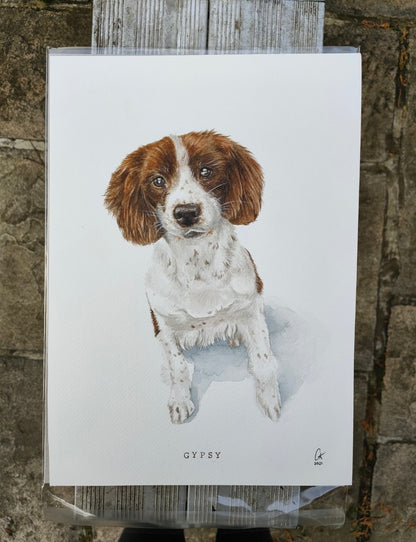 Custom Pet Portraits