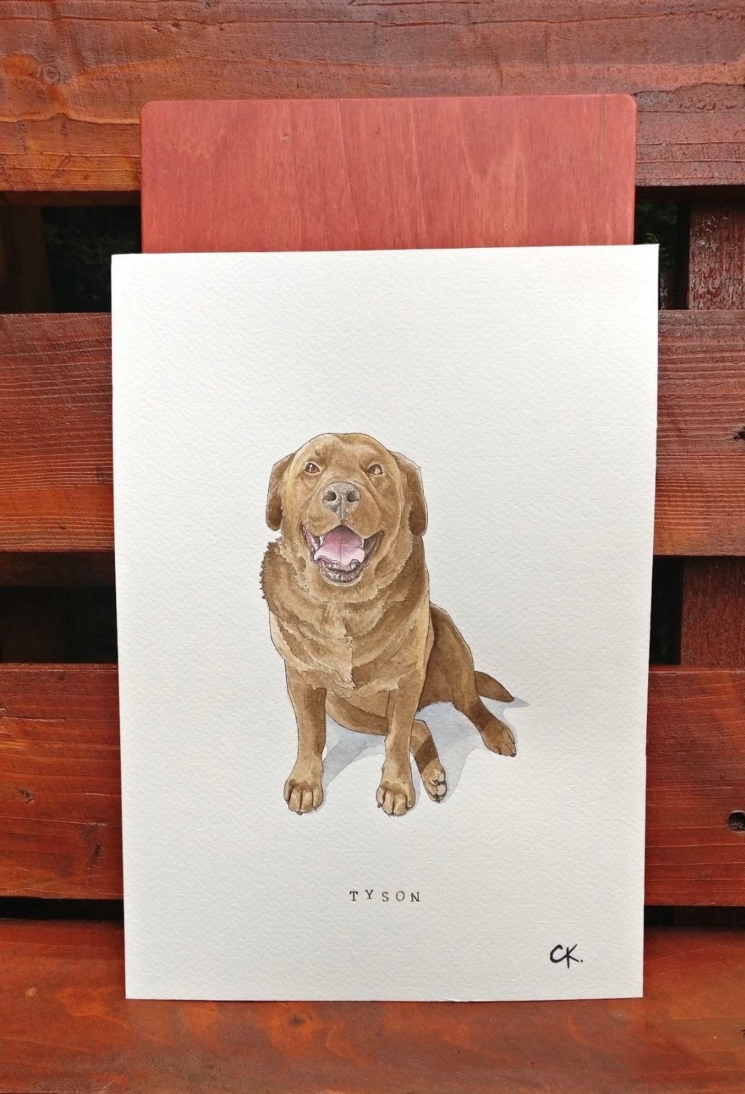 Custom Pet Portraits